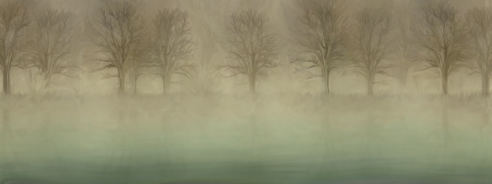 A misty tree line reflected in quiet water