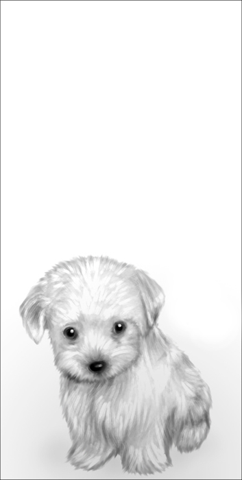Puppy