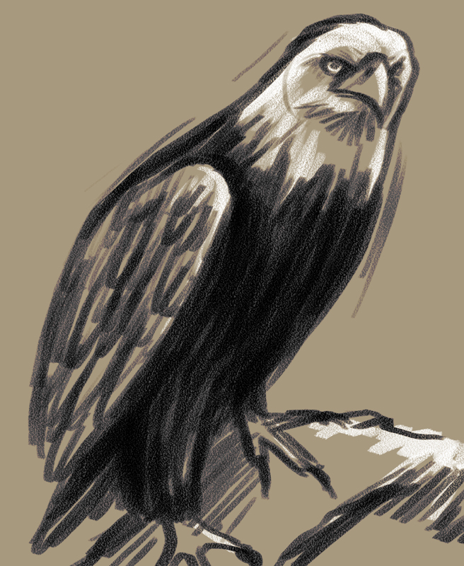Eagle